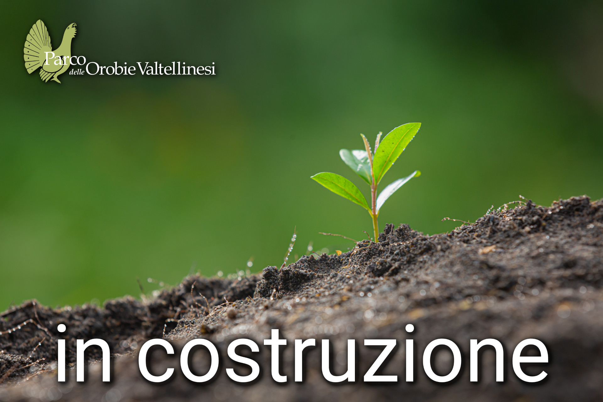 novità dal Parco novità dal Parco delle Orobie Valtellinesi