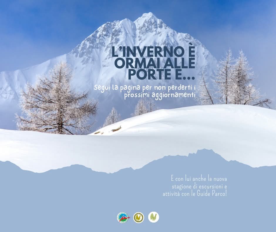 immagine bando invernale