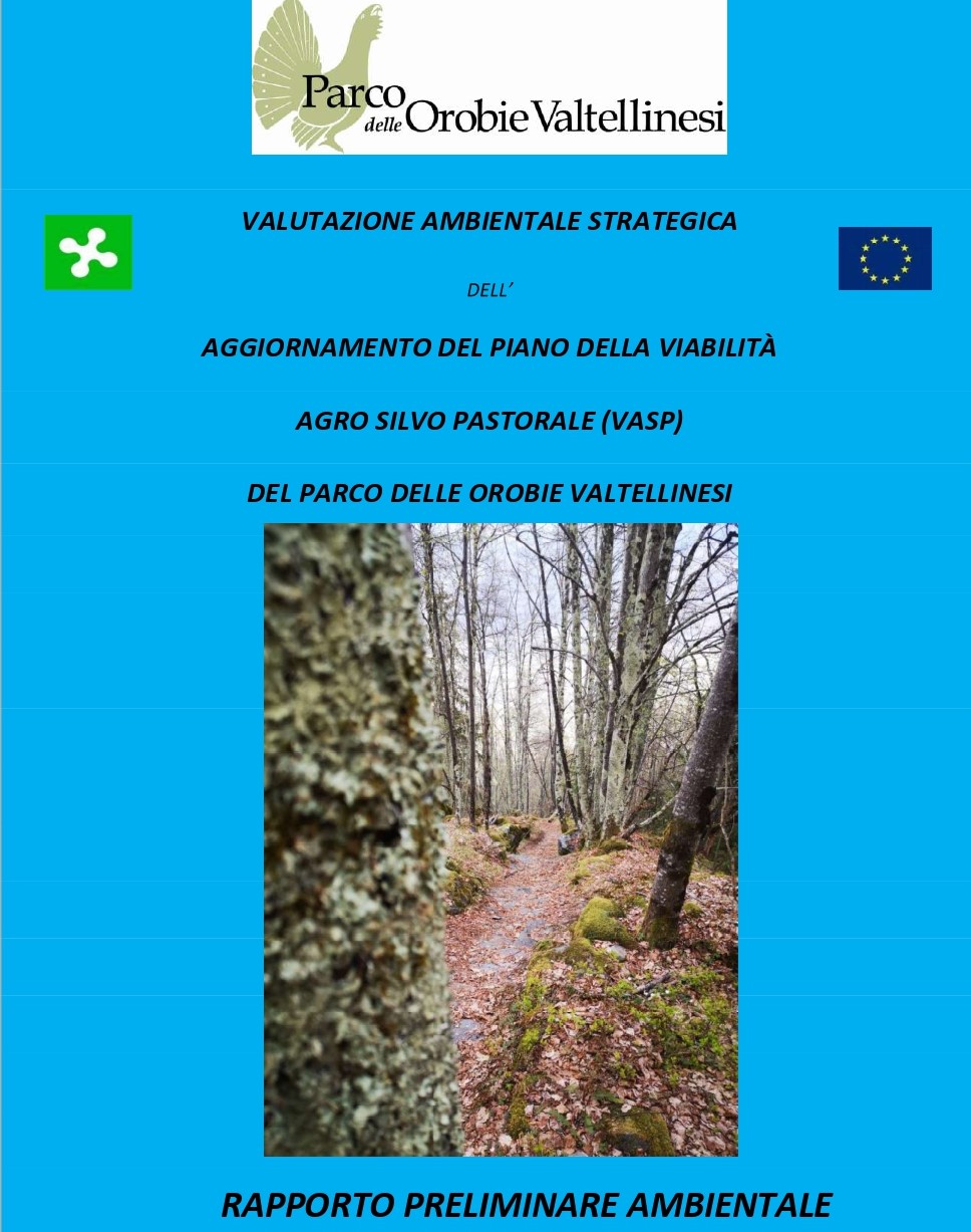 Aggiornamento del Piano della VASP