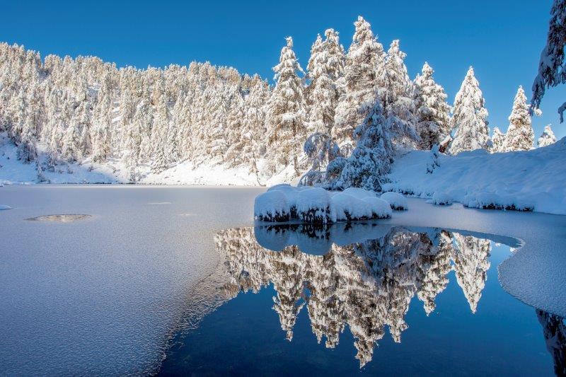 Con le guide nel Parco - inverno 2023
