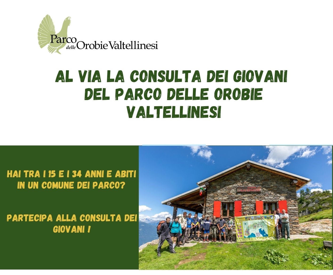 Consulta dei giovani