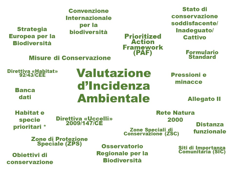 Formazione a distanza