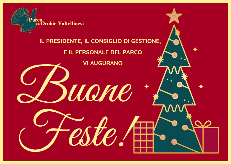 auguri