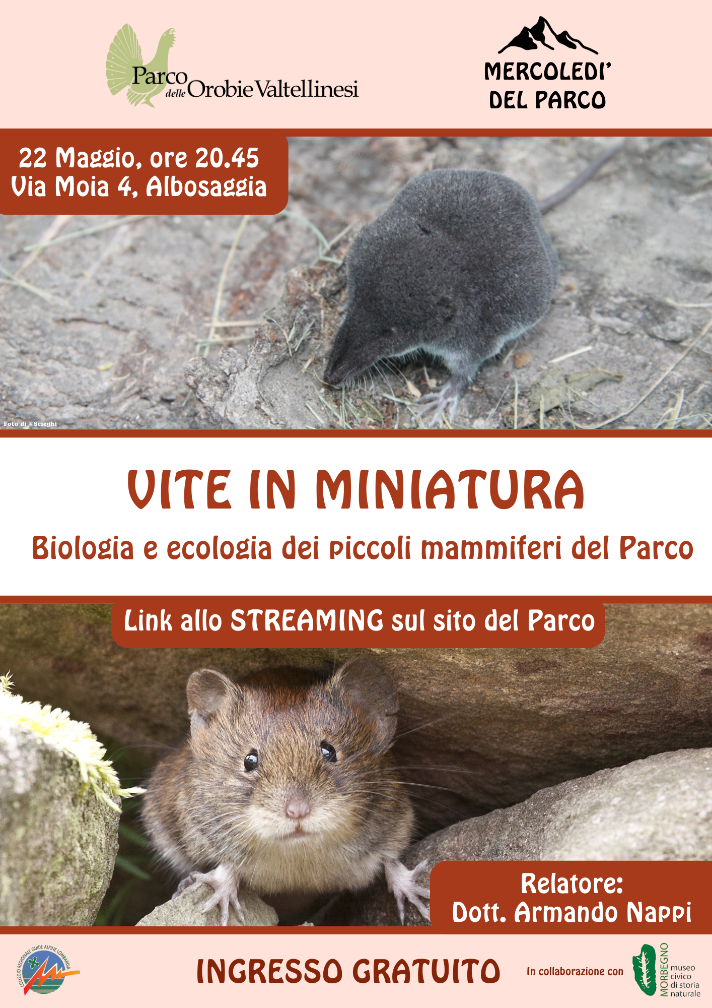 I piccoli mammiferi del Parco