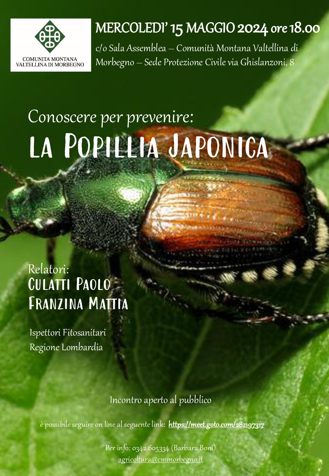 La Popillia Japonica