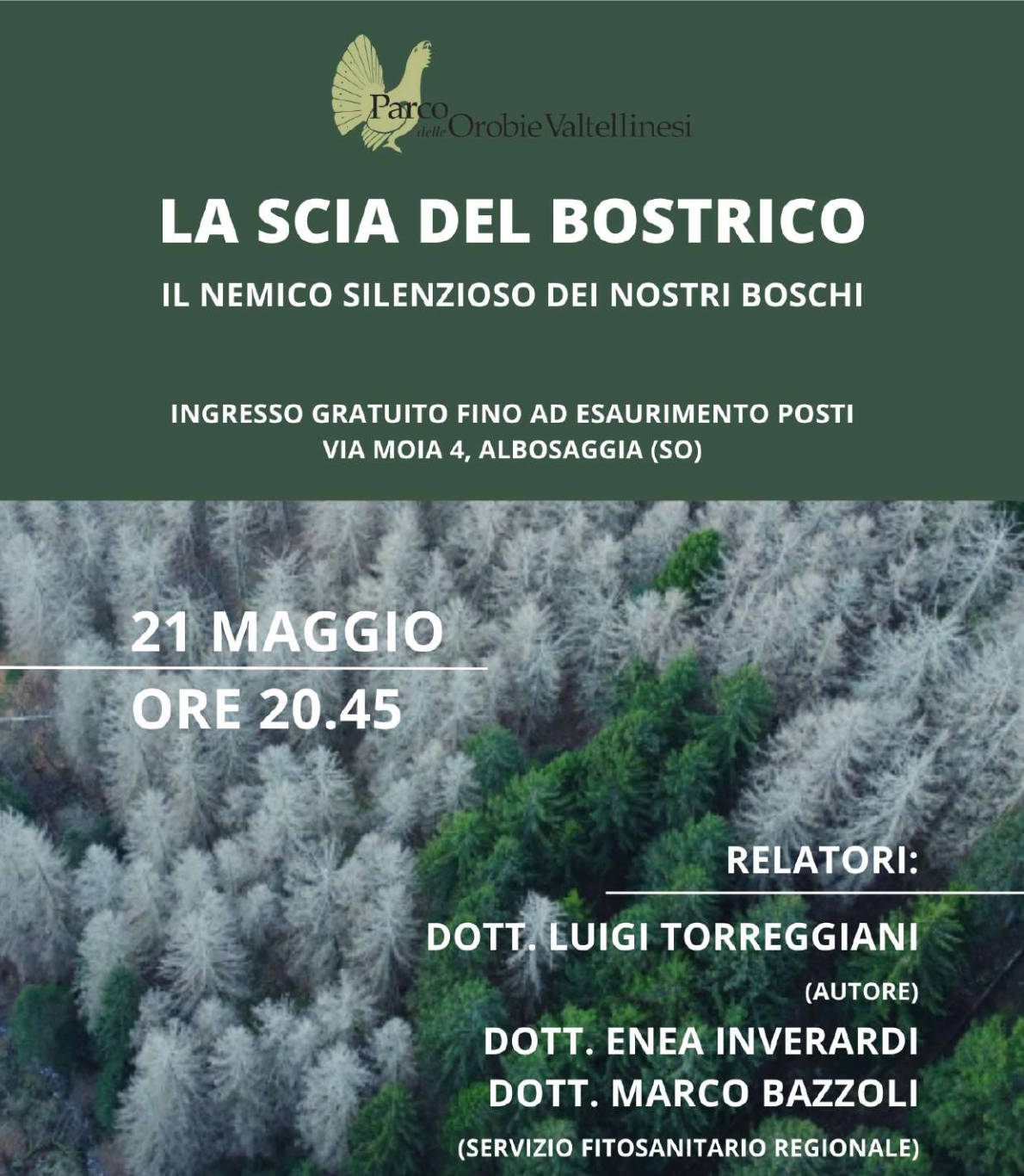 Locandina incontro la scia del bostrico