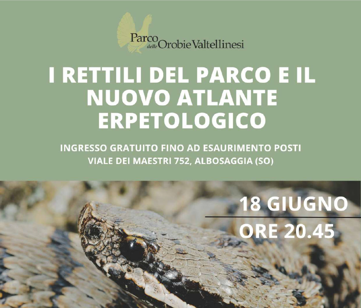 locandina i rettili del Parco e il nuovo atlante erpetologico