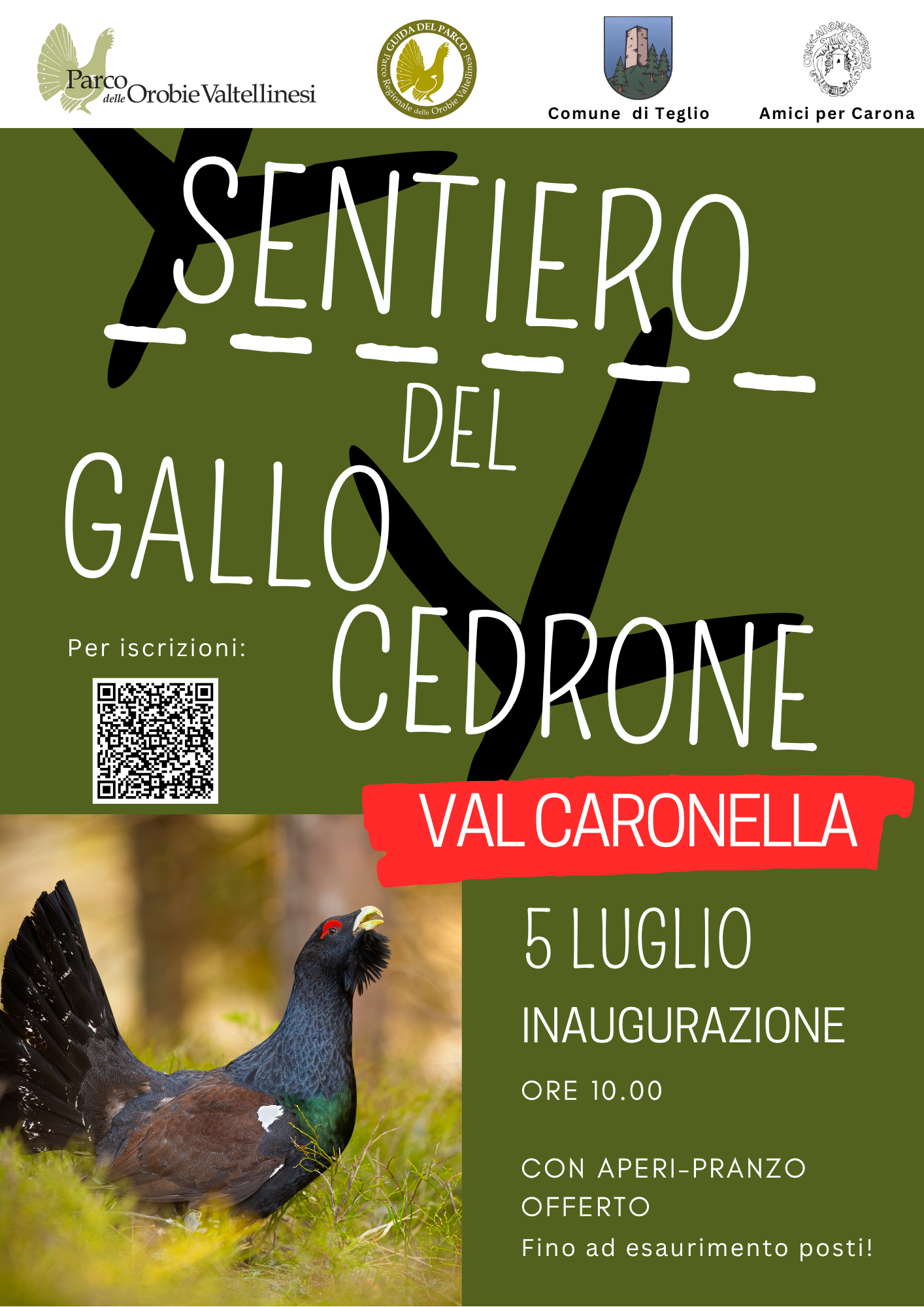 locandina val caronella gallo
