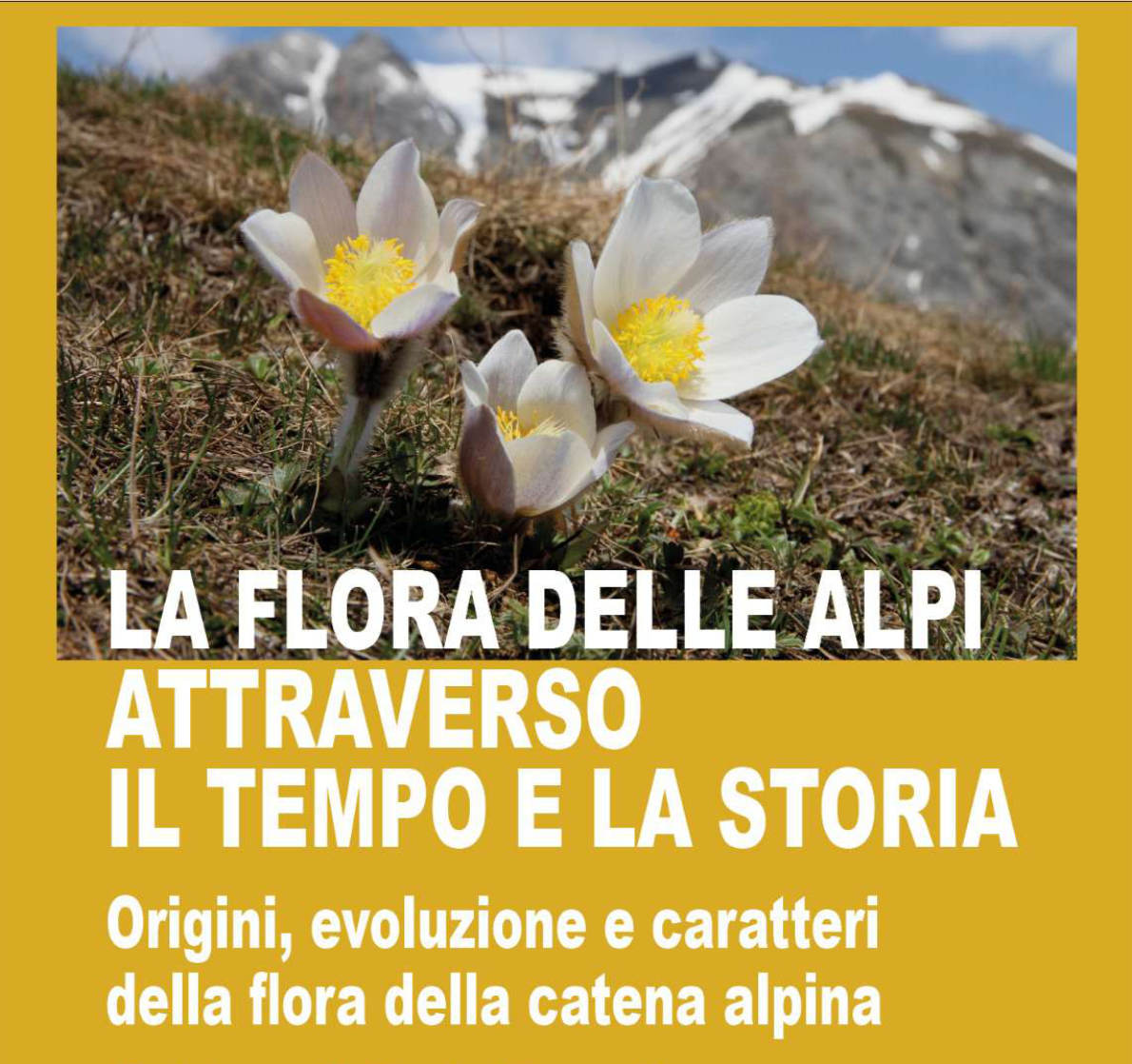 locandina evento La flora delle Alpi attraverso il tempo e la storia - Relatore Roberto Ferranti