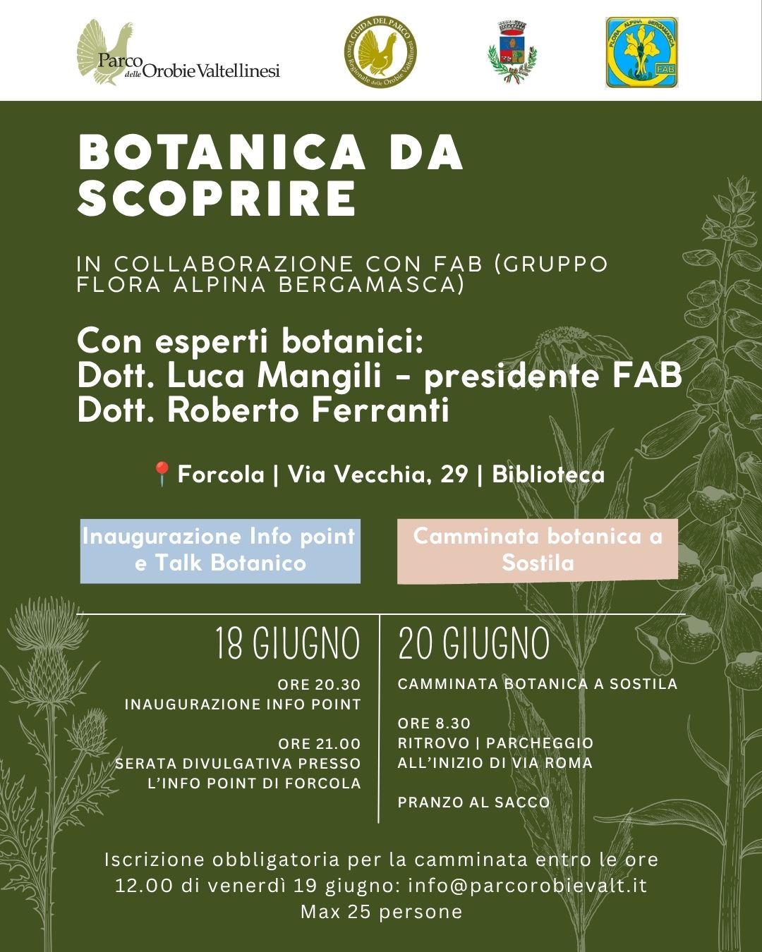 Locandina evento FAB giugno