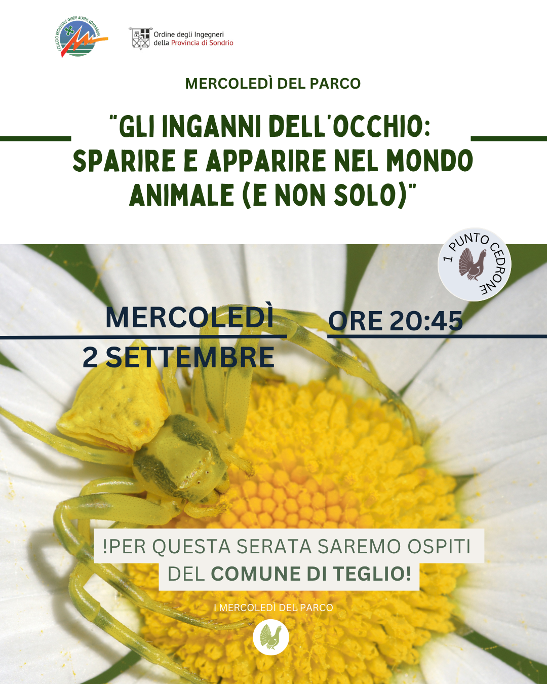 Locandina Mercoledì del Parco