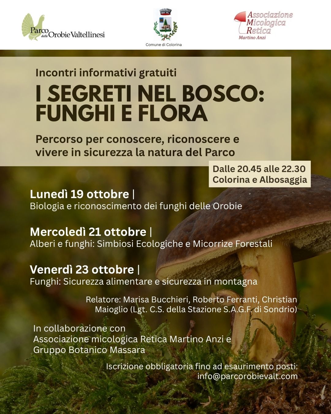 SEGRETI BOSCO