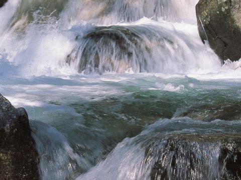 torrente