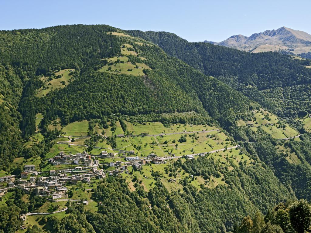 Pascolo nella Valle del Bitto di Albaredo
