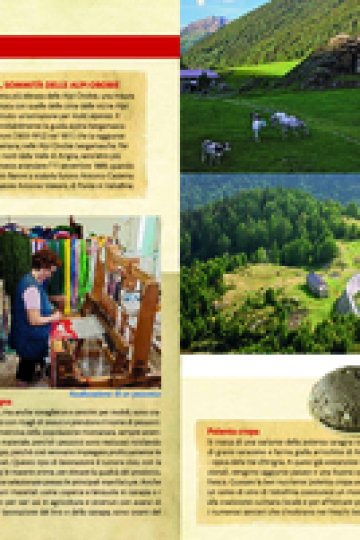 Pieghevole Val d'Arigna