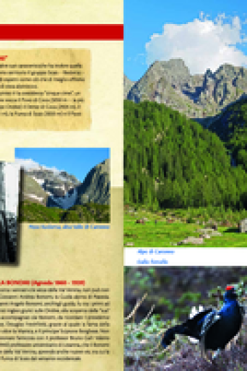 Pieghevole Val Venina