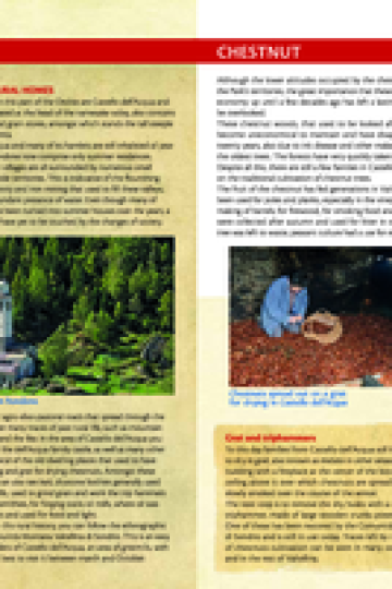 Valli Caronella, Bondone, Malgina brochure