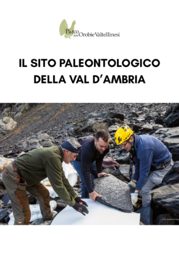 Il sito paleontologico della Val d'Ambria