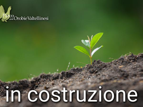 novità dal Parco delle Orobie Valtellinesi
