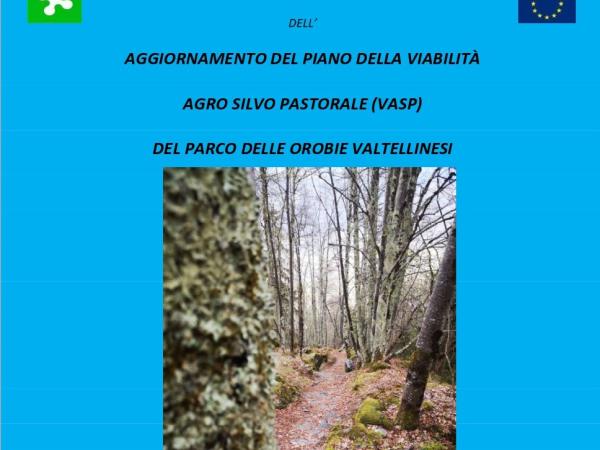Aggiornamento del Piano della VASP