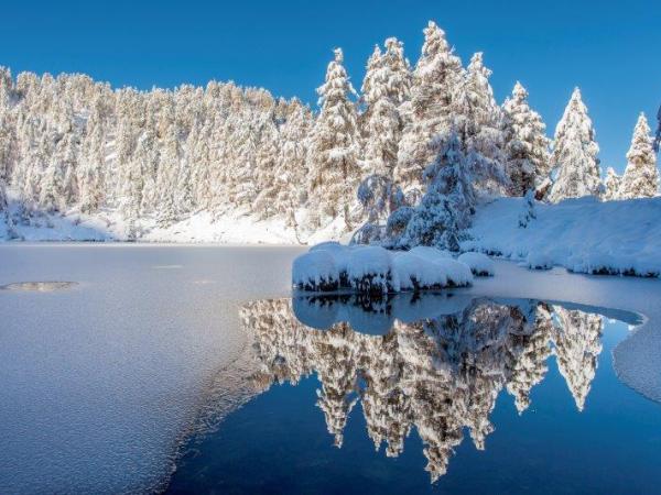 Con le guide nel Parco - inverno 2023