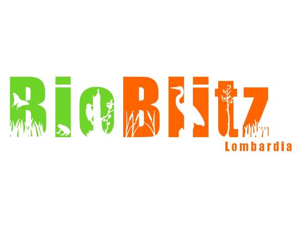 Bioblitz Parco Orobie Valtellinesi