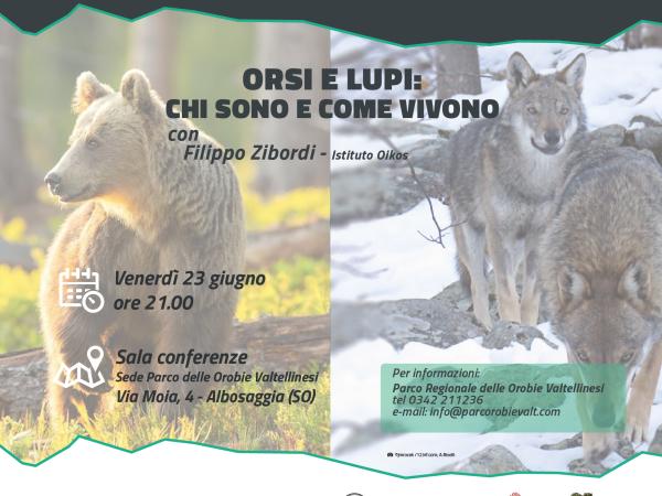 orsi e lupi