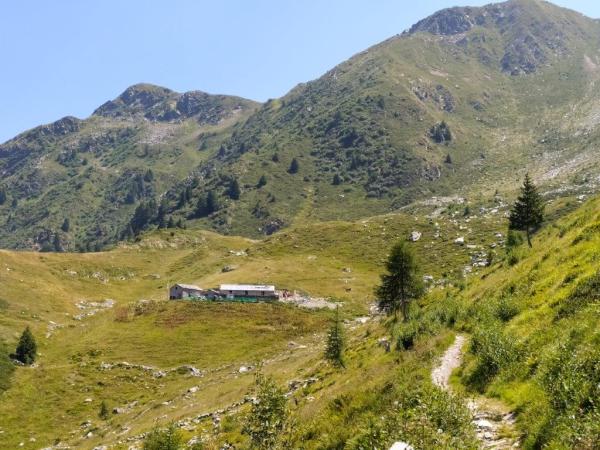 Diventa Young Ranger del Parco!