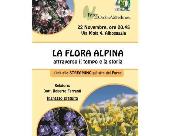 locandina