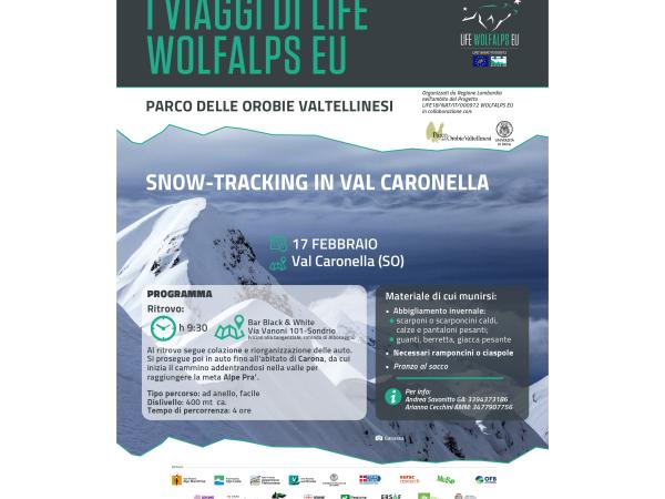 Snow - tracking in Val Caronella