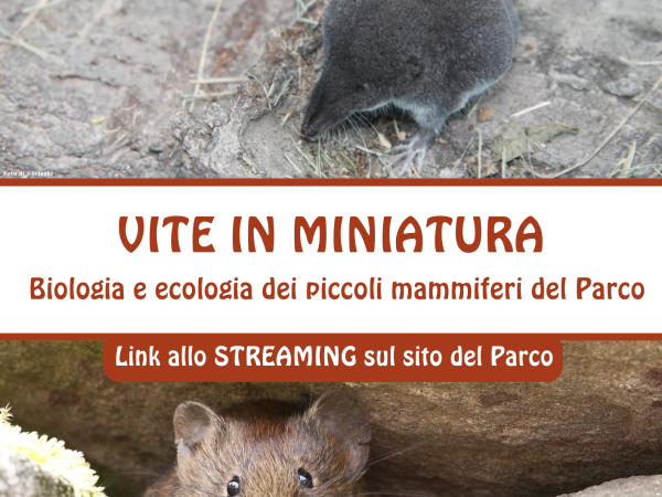I piccoli mammiferi del Parco