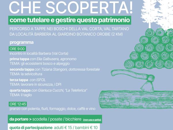 locandina bosco