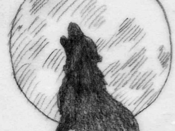 Il lupo fuori dalle favole