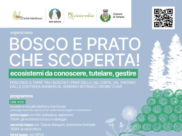 locandina Bosco e prato che scoperta!