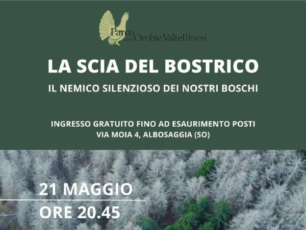 Locandina incontro la scia del bostrico