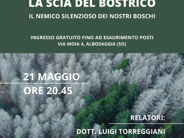 Locandina incontro la scia del bostrico
