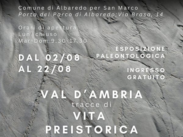 Locandina esposizione paleontologica ad Albaredo