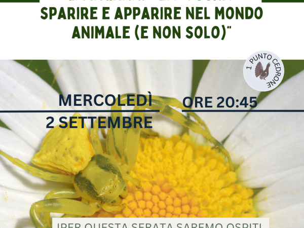 Locandina Mercoledì del Parco