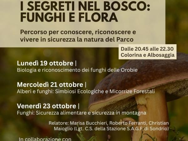 SEGRETI BOSCO