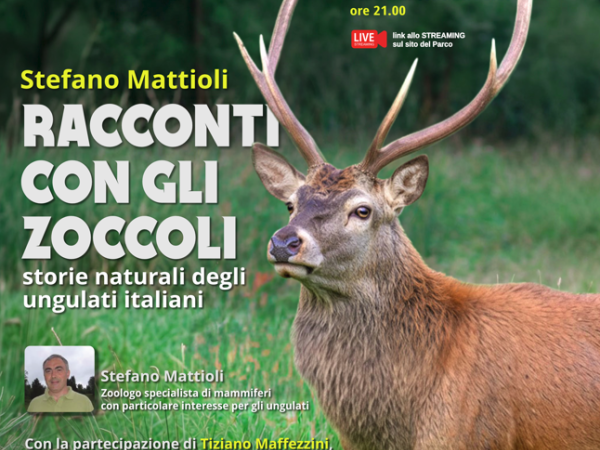 Locandina Venerdì del Parco