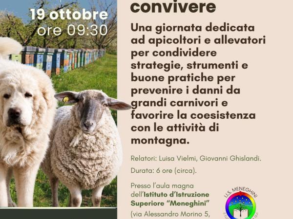 Locandina incontro cani da guardiania
