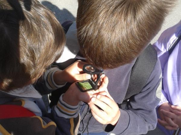 osservare la biodiversità