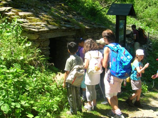 osservazione del baitello del latte