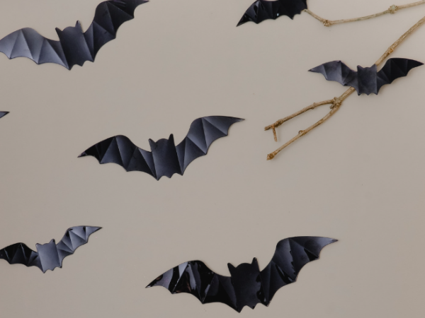Pipistrelli