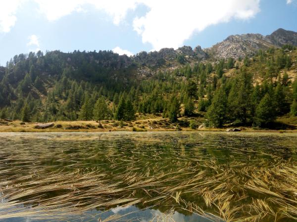 Pennellate botaniche al Lago Culino