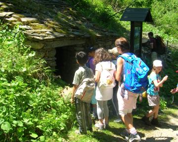 osservazione del baitello del latte