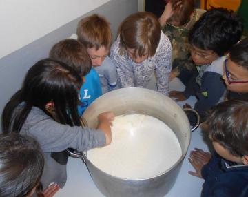 laboratorio del formaggio