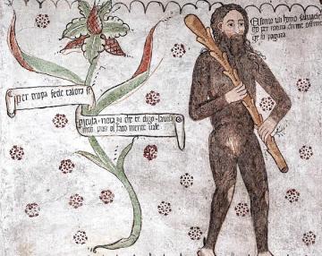 Dipinto dell'Homo Selvadego