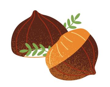 castagne