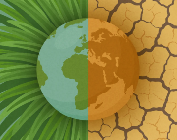 Cambiamento climatico